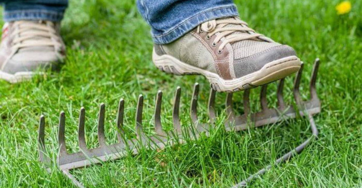 Stepping on a rake